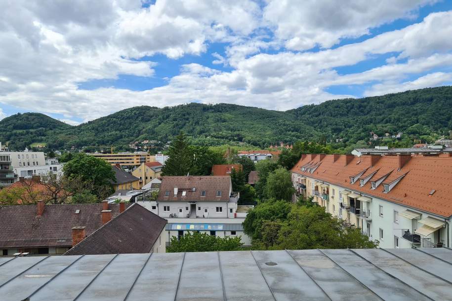 Wohnungseigentumsobjekt - Lager im Rohdachboden samt Flachdachfläche, Wohnung-kauf, 40.000,€, 8020 Graz(Stadt)