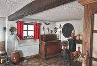 LANDHAUS MIT GROSSEM, SONNIGEN GRUND AM WALDRAND