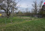Grundstück zur Miete in Mistelbach - Gartenparadies mit Altbaumbestand
