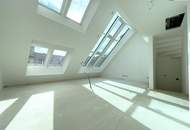 Wohntraum im Dach I perfekt aufgeteilte 3-4 Zimmer I atemberaubendes Wohnzimmer mit Glas-Himmel revitalisierter Stilaltbau I urbane Lage mit bester Infrastruktur!