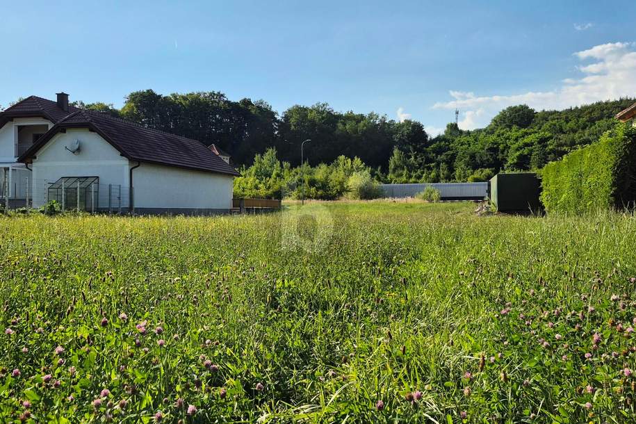 ATTRAKTIVES BAUGRUNDSTÜCK OHNE BAUZWANG NAHE AMSTETTEN, Grund und Boden-kauf, 70,€, 3372 Melk