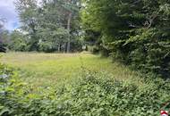 Preisreduktion - Traumhaftes Baugrundstück in idyllischer Lage von Kirchbach, Niederösterreich - Perfekt für Ihr Eigenheim!