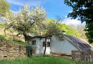 Ehemaliges Weinhauerhaus in einzigartiger Sieveringer Lage wartet auf Revitalisierung!