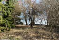 Quadratmeterpreis von 60 Euro! Einzigartiges Freizeitgrundstück / Baugrundstück ohne Bauzwang mit alten Baumbestand