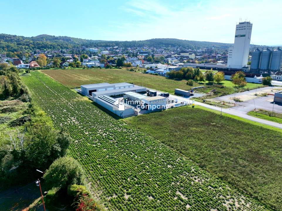 Werde jetzt Teil des Wirtschaftstandortes Mannersdorf/Leithagebirge - Betriebsgrundstücke bis zu 30.496m² stehen zur Verfügung!