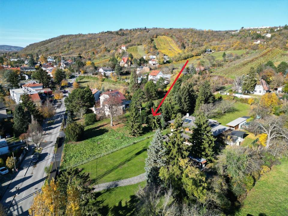 Traumhafter Baugrund am Fuße des Bisambergs