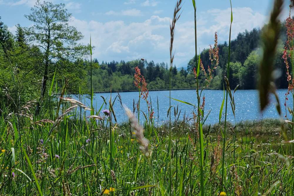 Saissersee: Baugrundstück in Seenähe