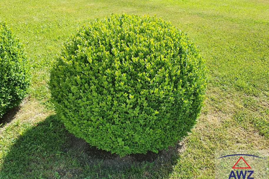 Romantisches Anwesen im Bezirk Mödling, Haus-kauf, 1.800.000,€, 2531 Mödling