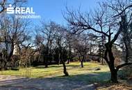 LANDHAUS in TOPLAGE - BURGBLICK