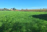 "Traumhafter komplett ebener Baugrund in Straß in der Südsteiermark"