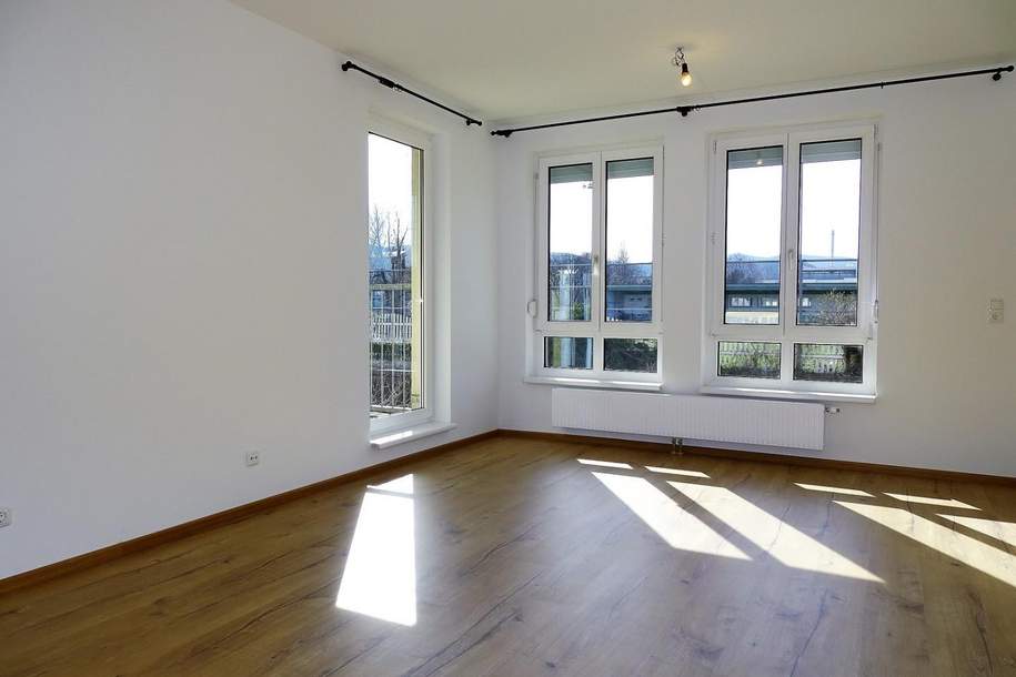 Miete Erstbezug nach Teilrenovierung, Wohnung-miete, 1.400,00,€, 2340 Mödling