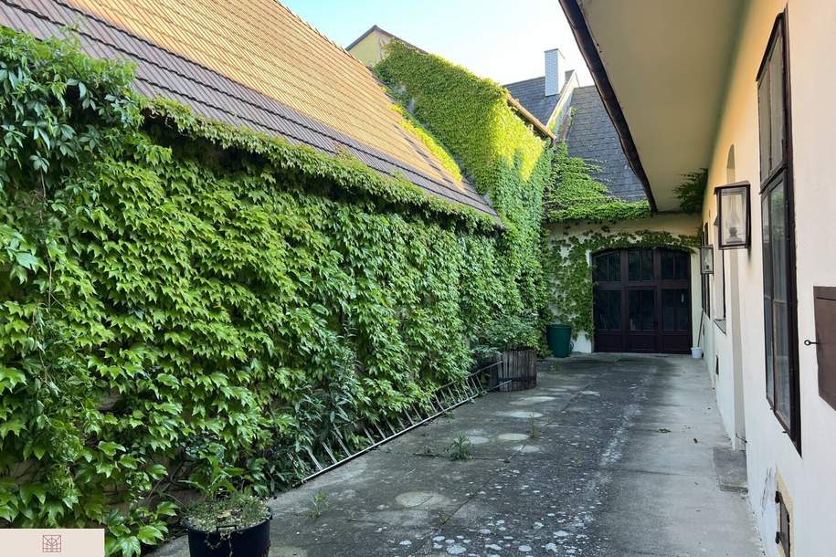 Charmantes Winzerhaus mit geschichtsträchtigem Weinkeller und Rohdachboden - Gumpoldskirchen, Haus-kauf, 790.000,€, 2352 Mödling