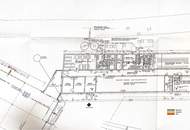 GIGANTISCH gesucht? HIER RICHTIG