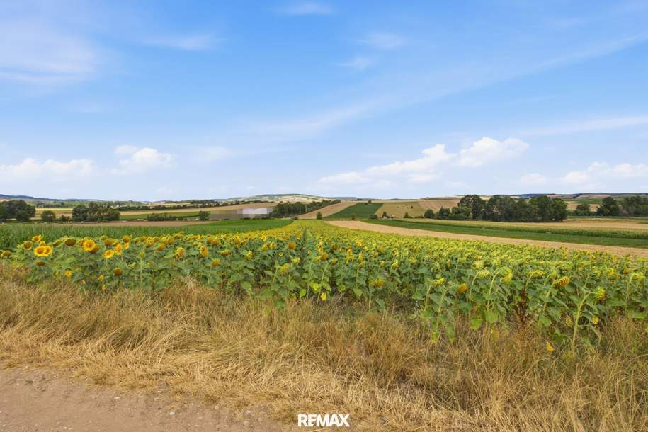 Landwirtschaftliche Fläche mit 11 710 m² in Untermallebern zu verkaufen!, Grund und Boden-kauf, 108.000,€, 2011 Korneuburg