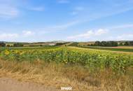 Landwirtschaftliche Fläche mit 11 710 m² in Untermallebern zu verkaufen!