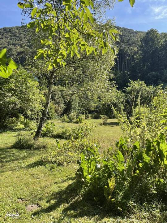 Traumhaftes Baugrundstück in idyllischer Lage der Hinterbrühl - Perfekt für Ihr Eigenheim!