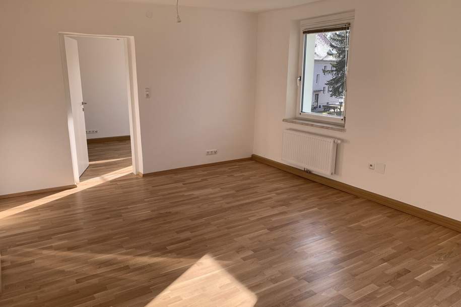 Komplett sanierte Wohnung - wie Erstbezug! Ausgesprochen gemütlich, hell und sonnig, von Grünflächen umgeben! 1A-Infrastruktur wird geboten!, Wohnung-miete, 796,63,€, 4400 Steyr(Stadt)