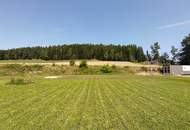 Traumhaftes Baugrundstück: 982m² für Ihr Eigenheim / Gewerbe in Gutauer Naturlage ohne Bauzwang