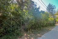 2.008 m² Baugrundstück mit bewilligtem Doppelhausprojekt im Augustinerwald