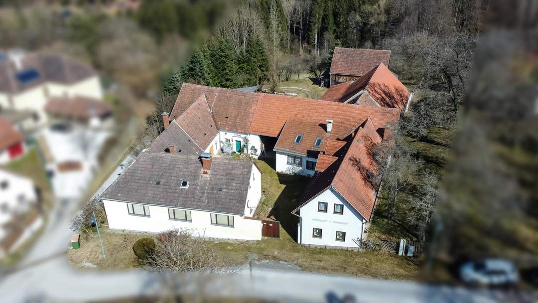 Ein einzigartiges Anwesen mit viel Platz und unzähligen Möglichkeiten