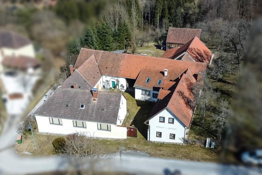 Ein einzigartiges Anwesen mit viel Platz und unzähligen Möglichkeiten, Haus-kauf, 284.000,€, 3543 Krems(Land)
