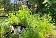 ZENTRAL UND GUT ANGEBUNDEN GELEGENE STADTVILLA MIT 2 GARAGEN UND SALZWASSER-POOL