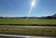 Großes Baugrundstück (ca. 1 ha) in Güssinger Ortsrandlage!