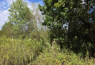 Waldgrundstücke in Deutsch Kaltenbrunn