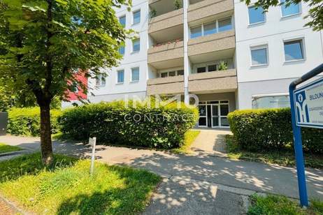 Repräsentative Bürofläche mit ausgezeichneter Verkehrsanbindung am Linzer Froschberg!, Gewerbeobjekt-miete, 3.836,93,€, 4020 Linz(Stadt)