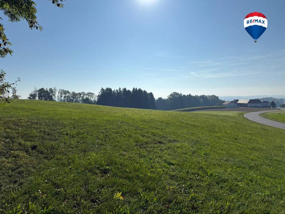 >> Kaufanbote liegen vor ! << Landwirtschaftliche Nutzfläche nahe Waizenkirchen/Peuerbach
