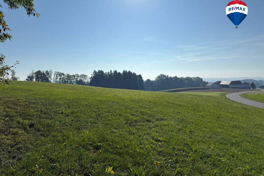 >> Kaufanbote liegen vor ! << Landwirtschaftliche Nutzfläche nahe Waizenkirchen/Peuerbach, Grund und Boden-kauf, 4730 Grieskirchen