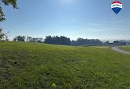 >> Kaufanbote liegen vor ! << Landwirtschaftliche Nutzfläche nahe Waizenkirchen/Peuerbach