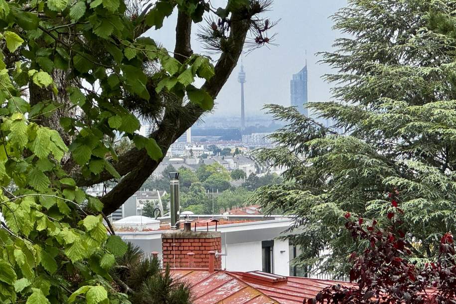 GROSSZÜGIGE, ABSOLUT RUHIG GELEGENE TERASSENWOHNUNG MIT WIEN- UND WEITBLICK, Wohnung-kauf, 975.000,€, 1190 Wien 19., Döbling