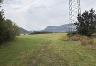 PFERDEHALTUNG MIT WEITBLICK – LANDWIRTSCHAFTLICHES ANWESEN IN ALLEINLAGE
