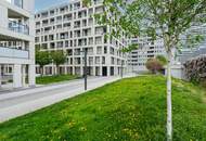 " DC-Living-Living the Dream "