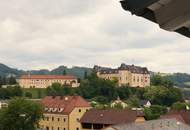 Wohnung mit besten Aussichten in Grein