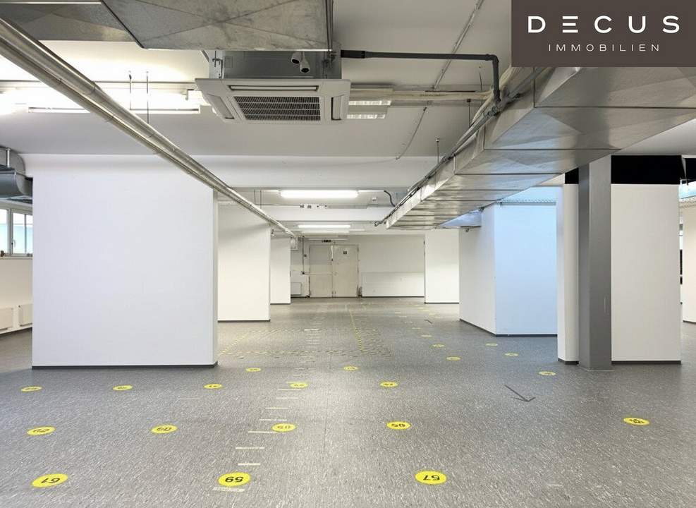 Büro- und Geschäftsflächen in der Wilhelminenstraße *** Nutzung des EG auch als Werkstätte oder Lager möglich