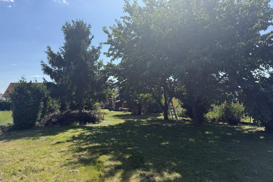 2034 Großharras - Idyllisches Landhaus mit großem Garten und Nebengebäuden, Haus-kauf, 169.000,€, 2034 Mistelbach