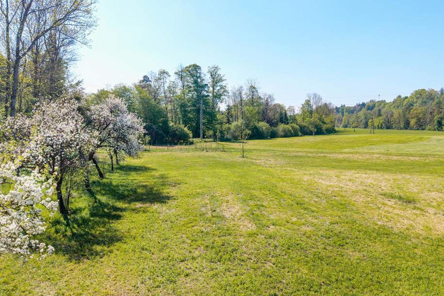Ebene landwirtschaftliche Flächen nähe der Alm, Grund und Boden-kauf, 220.000,€, 4643 Kirchdorf an der Krems