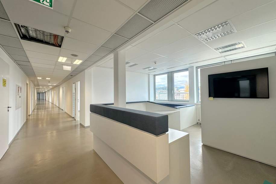 Hochwertige Bürofläche samt großzügiger Terrasse an der Brigittenauer Lände, Gewerbeobjekt-miete, 15.945,23,€, 1200 Wien 20., Brigittenau