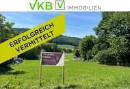 Exklusives Traumgrundstück in Leonding/Berg mit Fernblick!