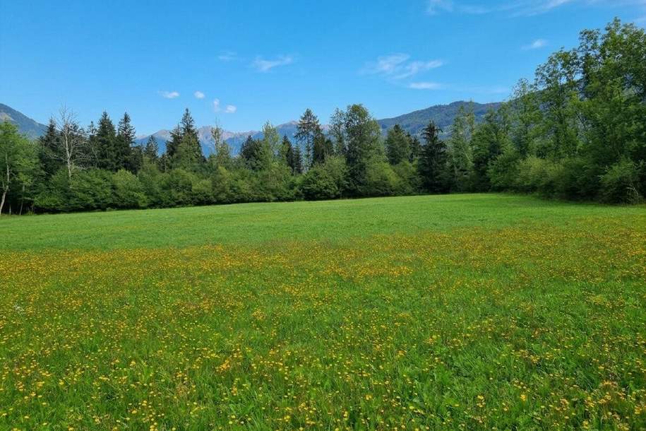 Schöne Grünlandfläche in der Gemeinde Kleblach/Lind, Grund und Boden-kauf, 34.096,€, 9753 Spittal an der Drau