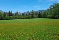 Schöne Grünlandfläche in der Gemeinde Kleblach/Lind