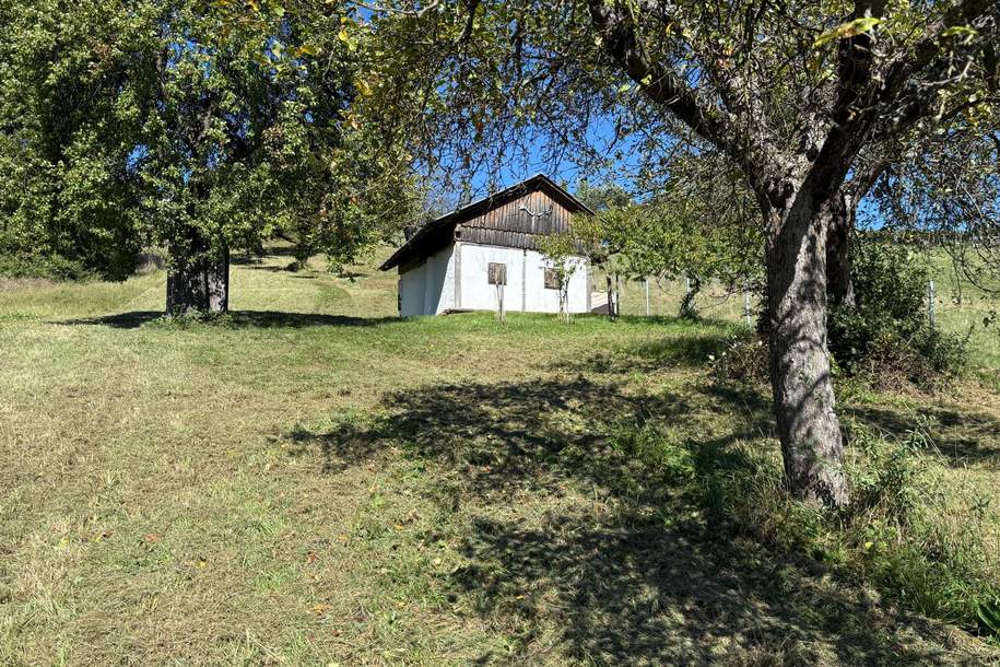 Idyllisches Kellerstöckl mit historischem Charme inmitten von Weingärten & Obstbäumen, Haus-kauf, 64.000,€, 7540 Güssing