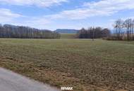 Landwirtschaftliche Nutzflächen in St. Agatha / Waizenkirchen
