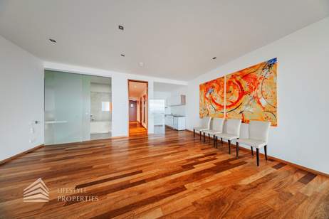 Einzigartiger Blick über Wien! Garconniere mit großem Balkon am Kahlenberg, Wohnung-miete, 1.597,20,€, 1190 Wien 19., Döbling