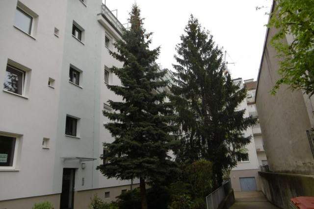 "Mein1heiM!", Wohnung-miete, 860,00,€, 1140 Wien 14., Penzing