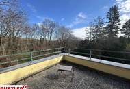 Alt Wiener-Villa in attraktiver Lage des 19.Bezirks