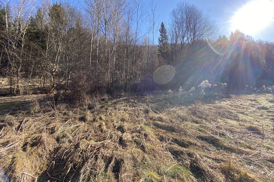 Sonniges Baugrundstück in leichter Hanglage in beliebter Wohngegend nahe Thalersee (3146), Grund und Boden-kauf, 8051 Graz-Umgebung