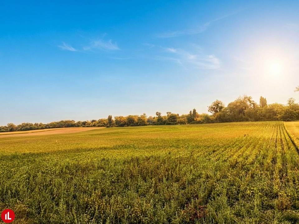Ackerbau in Himberg zu Kaufen